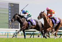 　天皇賞・春を制したヘデントール（左）。右は２着のビザンチンドリーム