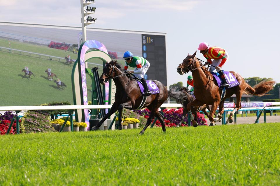 　天皇賞・春を制したヘデントール（左）