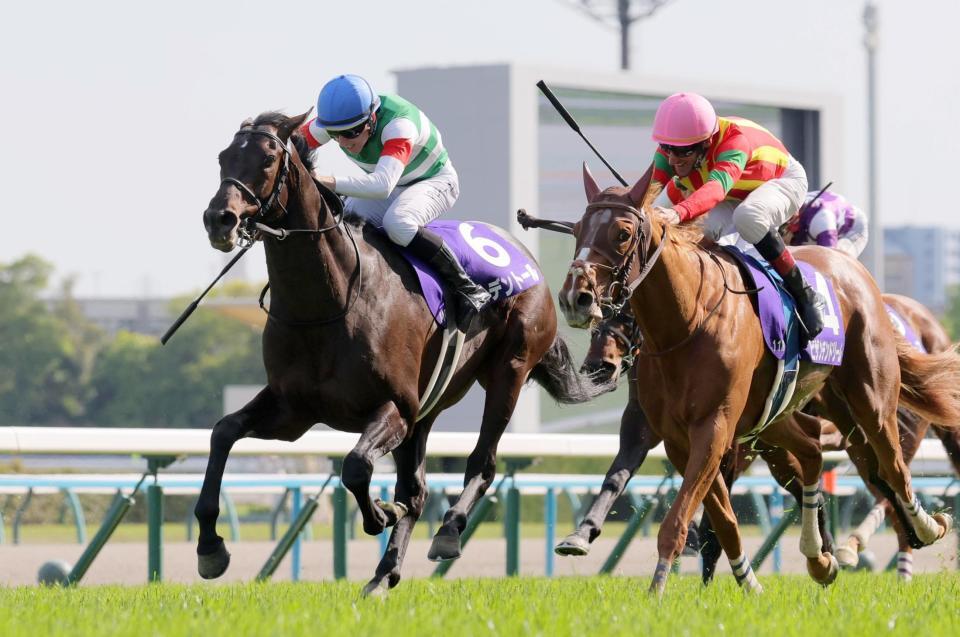 　天皇賞・春を制したヘデントール（左）。右は２着のビザンチンドリーム