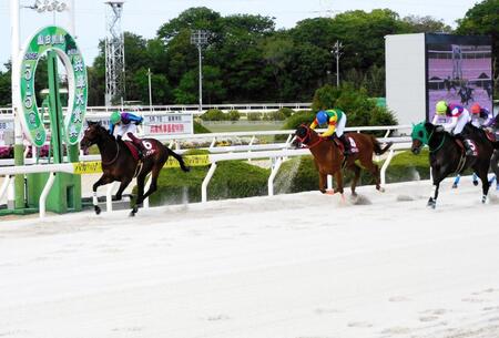 　小差でしか勝てなかったイグナイター（左）＝撮影・中山伸治