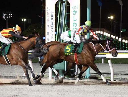 　かしわ記念を制したシャマルと川須