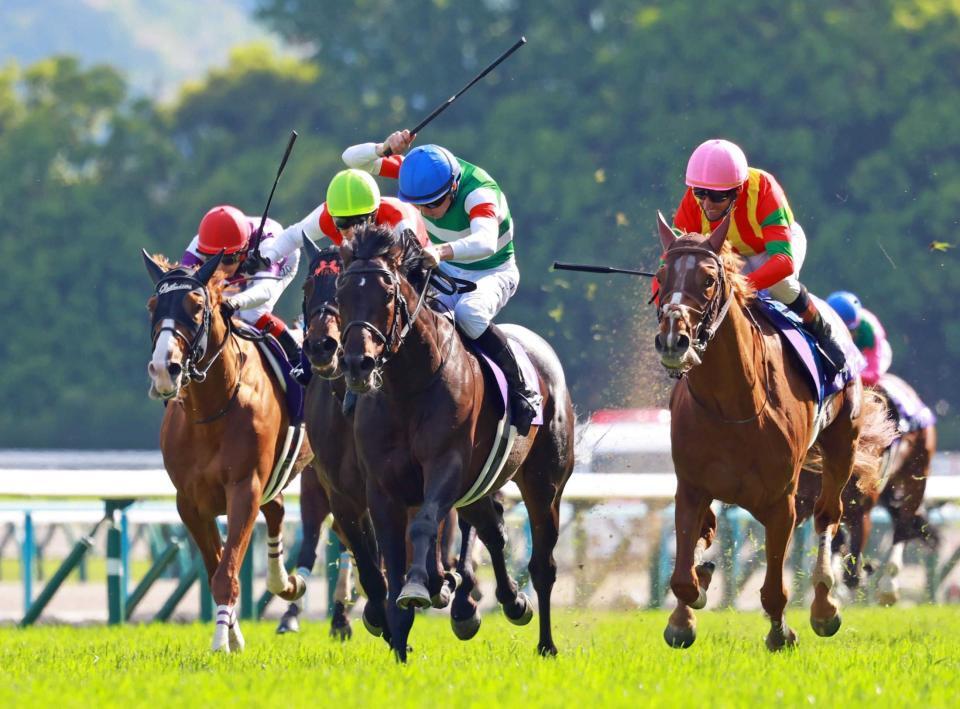 へデントール　メイクデビュー東京　現地単勝馬券　天皇賞・春制覇 へデントール メイクデビュー東京 現地単勝馬券 天皇賞・春制覇