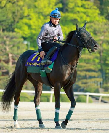 　スピードが持ち味のヤンキーバローズ