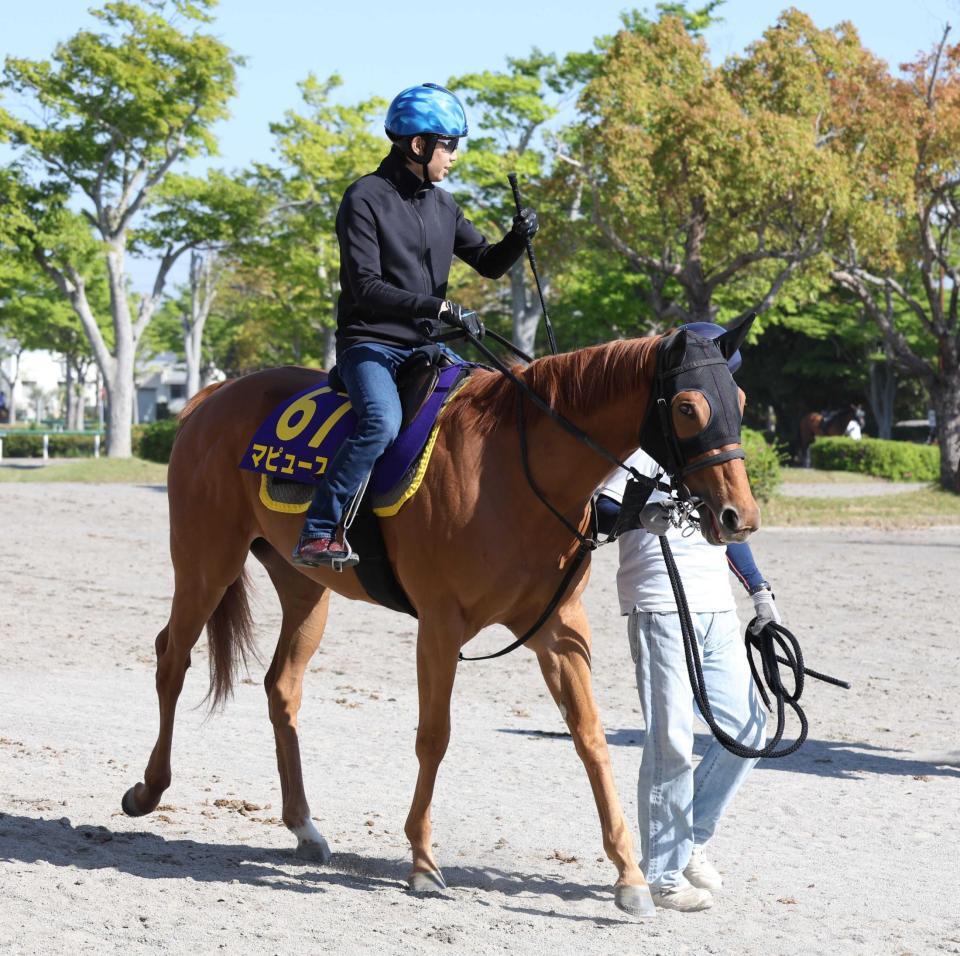 　８年ぶりの牝馬Ｖの期待がかかるマピュース