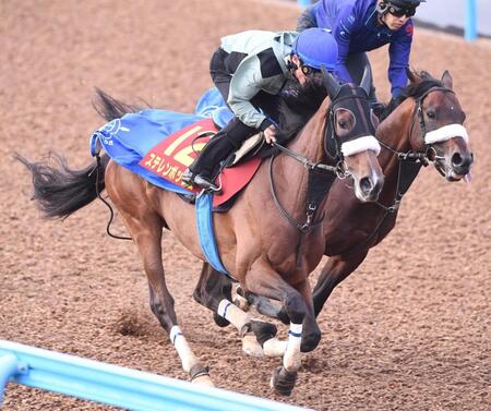 【ヴィクトリアＭ】ステレンボッシュ　半馬身先着　国枝師「気配はいいので改めて期待したい」