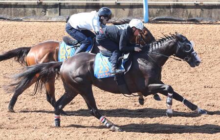 　北村宏を背にウッドチップコースでザロックと併せて追われるシュトラウス（手前）