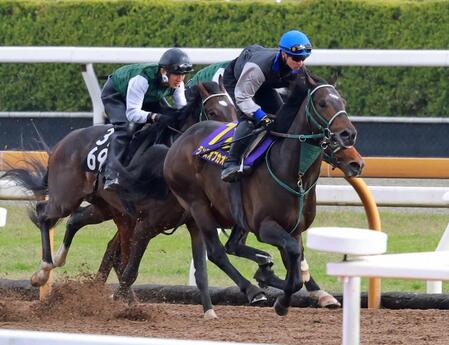 　吉村を背に３頭併せで鋭い動きを見せたランスオブカオス（右）＝撮影・石湯恒介