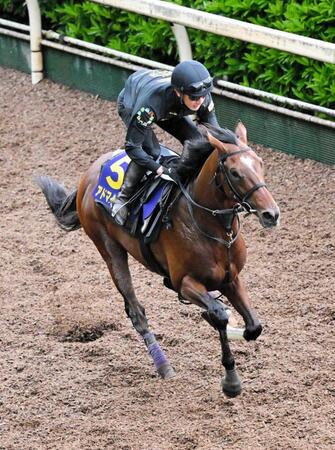 【NHKマイルC】アドマイヤズーム ド迫力 動き抜群!いざ世代マイル王の座へ 友道師は太鼓判「いい感じ」