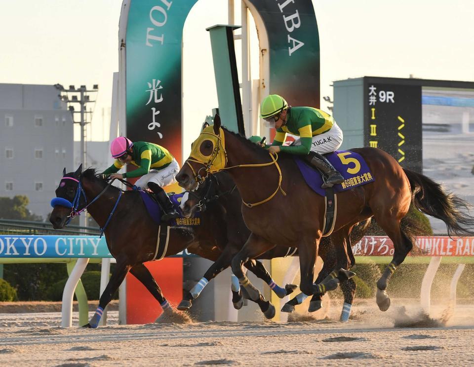 賞金王ウシュバテソーロが7日付で登録抹消 今後は種牡馬となる予定