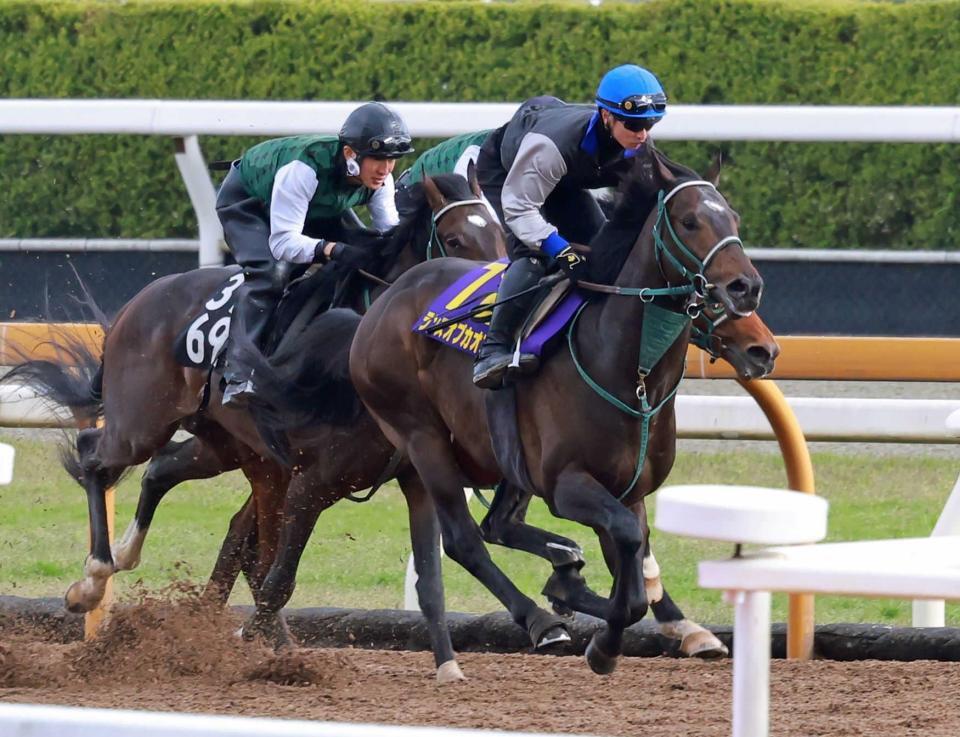　吉村を背に３頭併せで鋭い動きを見せたランスオブカオス（右）＝撮影・石湯恒介