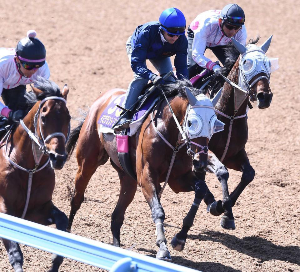 　ルメールと初コンタクトを取ったイミグラントソング（中央）＝撮影・園田高夫