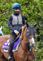 　人馬そろってのＧ１初制覇を目指すアルテヴェローチェと佐々木（撮影・石湯恒介）