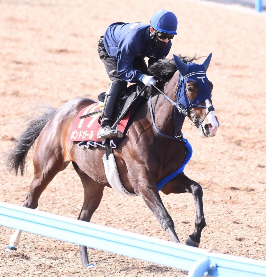 　美浦Ｗ単走で追い切ったボンドガール＝美浦トレセン（撮影・園田高夫）