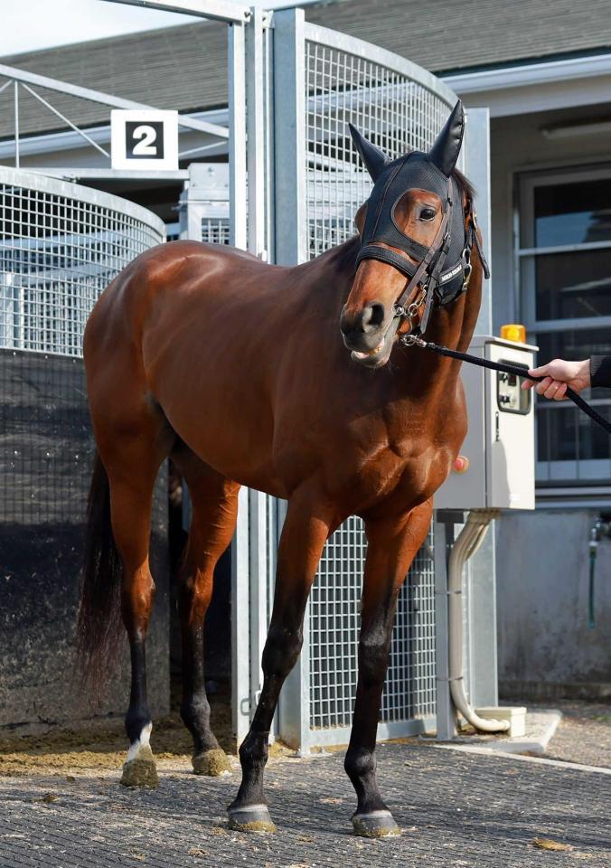 　ウオーキングマシンでの運動を終えたデルアヴァー