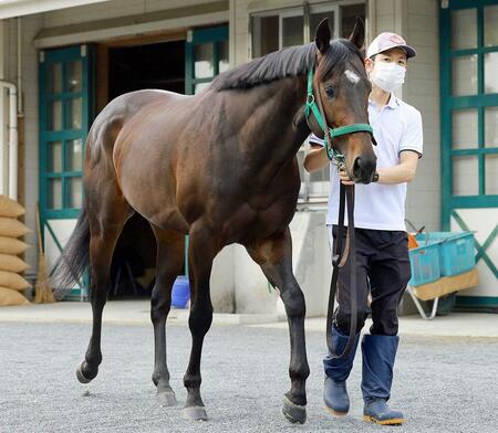 　ランスオブカオス