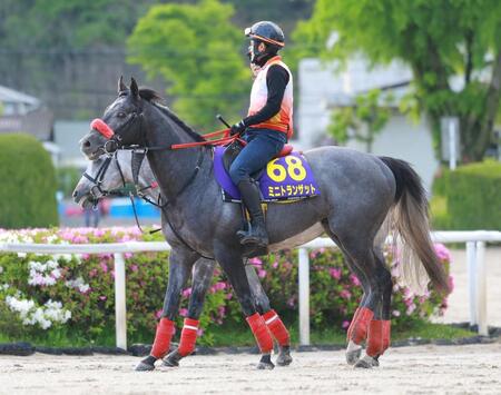 【ＮＨＫマイルＣ】ミニトランザット切れ味勝負　杉山佳師「自分の競馬をしてひと脚伸ばせれば」　７枠１３番「グッド」