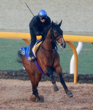 ０９年皐月賞馬アンライバルド急死　転倒による右後脚骨折で予後不良に