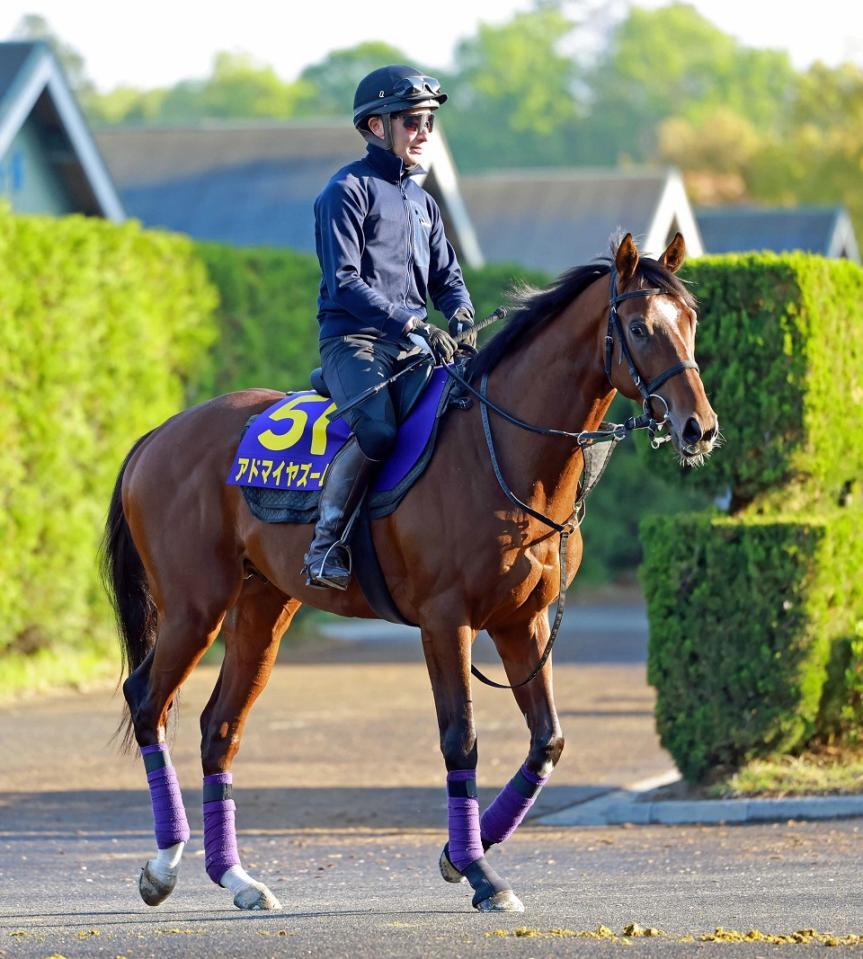 　アドマイヤズーム