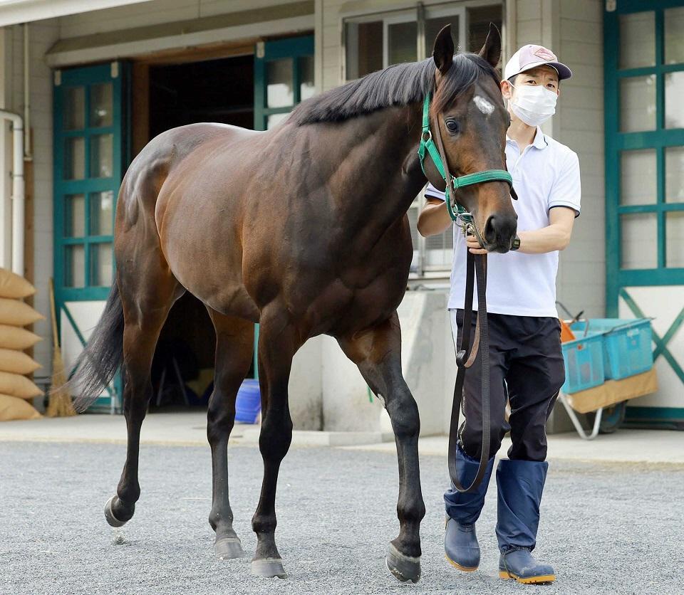 　ランスオブカオス