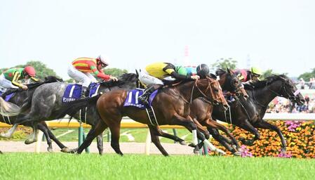 　ＮＨＫマイルＣを制したパンジャタワー（中央）＝撮影・園田高夫