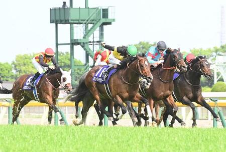 　ＮＨＫマイルＣを制したパンジャタワー（中央）＝撮影・園田高夫