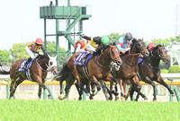 　ＮＨＫマイルＣを制したパンジャタワー（中央）＝撮影・園田高夫
