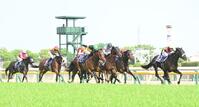 　ＮＨＫマイルＣを制したパンジャタワー（左から３頭目）と２着のマジックサンズ（右端）＝撮影・園田高夫