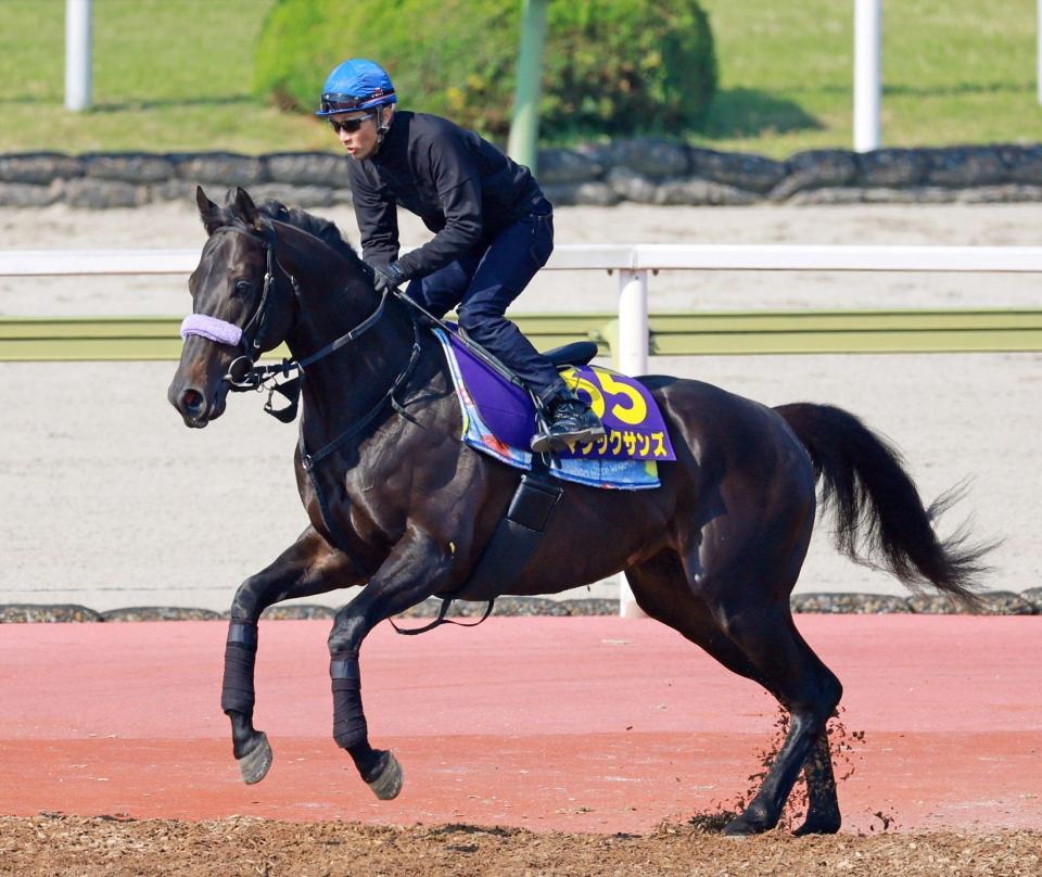 　マジックサンズ