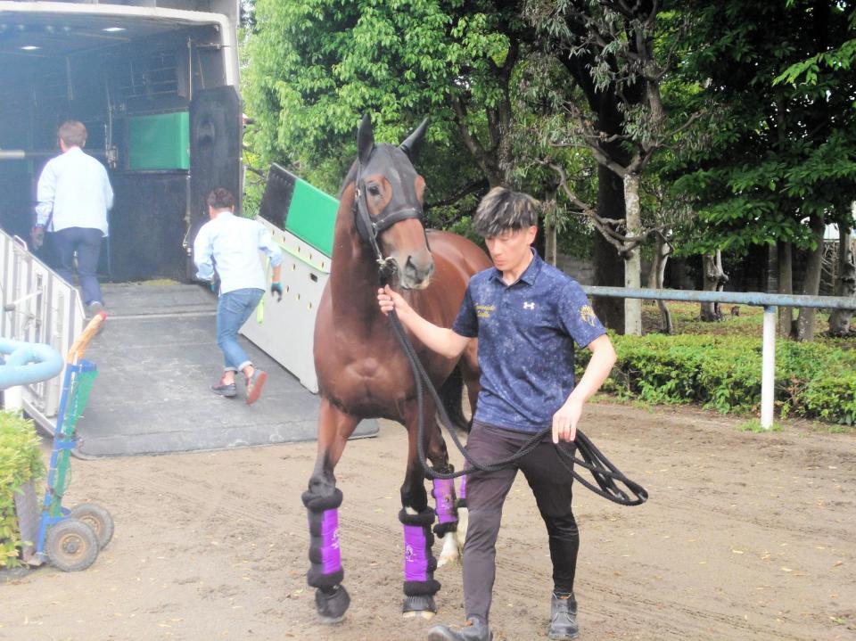 　アドマイヤズーム