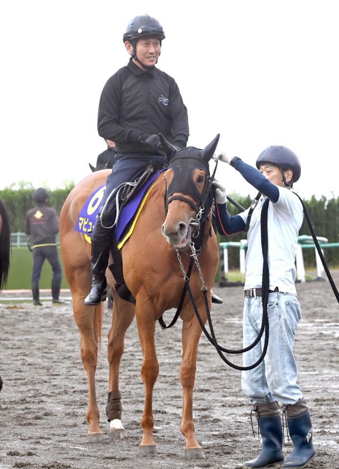 　好ムードを漂わせるマピュース