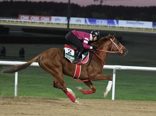 　シンエンペラー