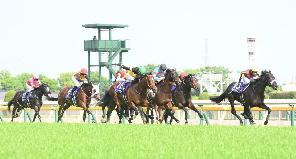　ＮＨＫマイルＣを制したパンジャタワー（左から３頭目）と２着のマジックサンズ（右端）＝撮影・園田高夫