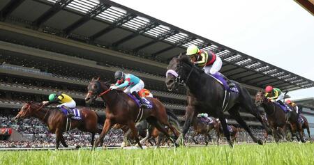 【NHKマイルC】マジックサンズあと一歩 4角16番手から内をさばいて猛追も頭差届かず 豊「狙った競馬はできた」