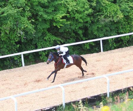 　武豊を背に大山ヒルズの坂路を駆け上がるクールマイユール