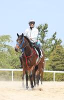 　調教を終えて引き上げるクールマイユールと武豊