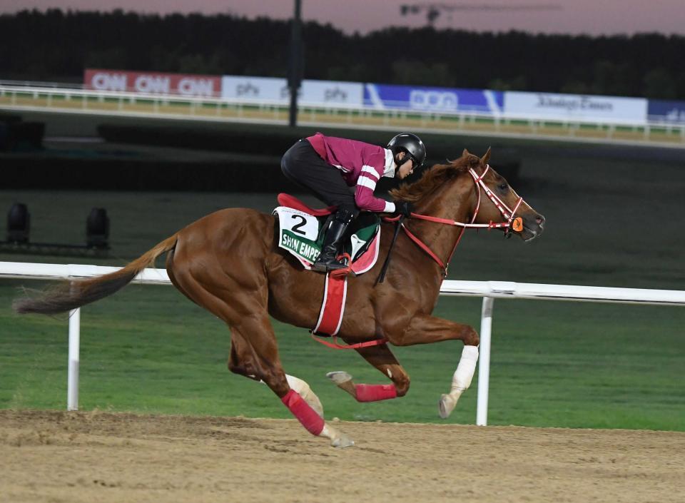 　シンエンペラー