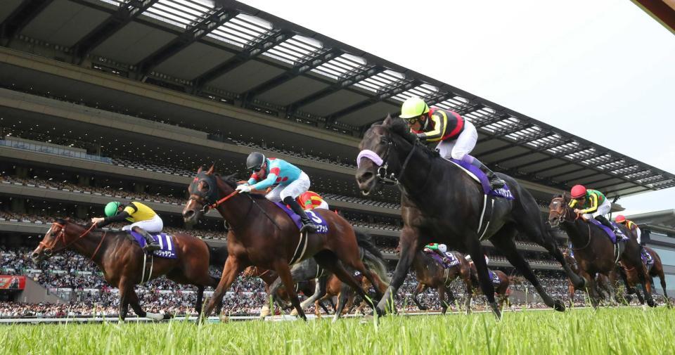 　レースを制したパンジャタワー（左）。手前右は２着のマジックサンズ