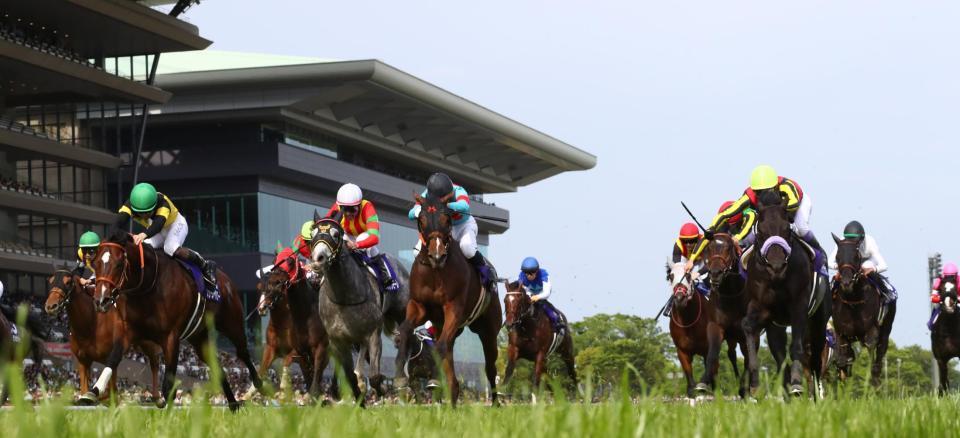 　レースを制したパンジャタワー（左から２頭目）