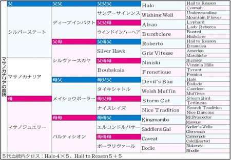 　マサノカナリア５代血統表