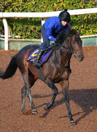 皐月賞馬ミュージアムマイルがレーンとの新コンビでダービーへ きょう13日に帰厩