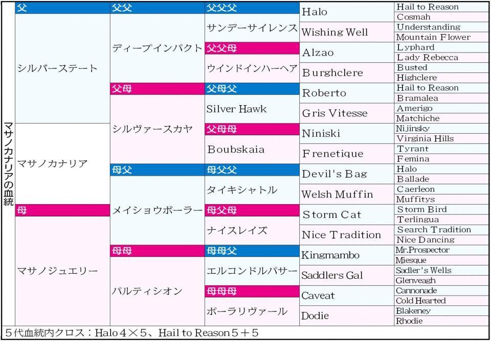 　マサノカナリア５代血統表