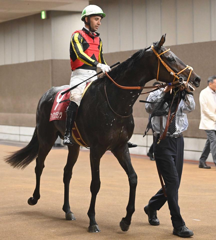 　ファイアンクランツ