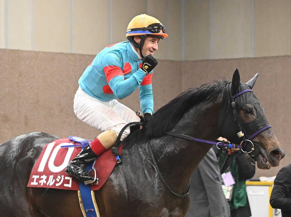 青葉賞を制したエネルジコ（４月２６日）