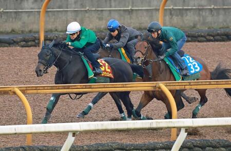 　上村師が騎乗して追い切られたアルマヴェローチェ（左）