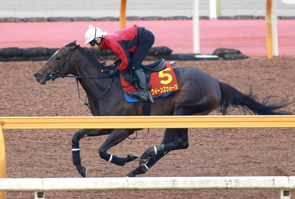 　迫力のあるフットワークを披露したクイーンズウォーク（撮影・石湯恒介）