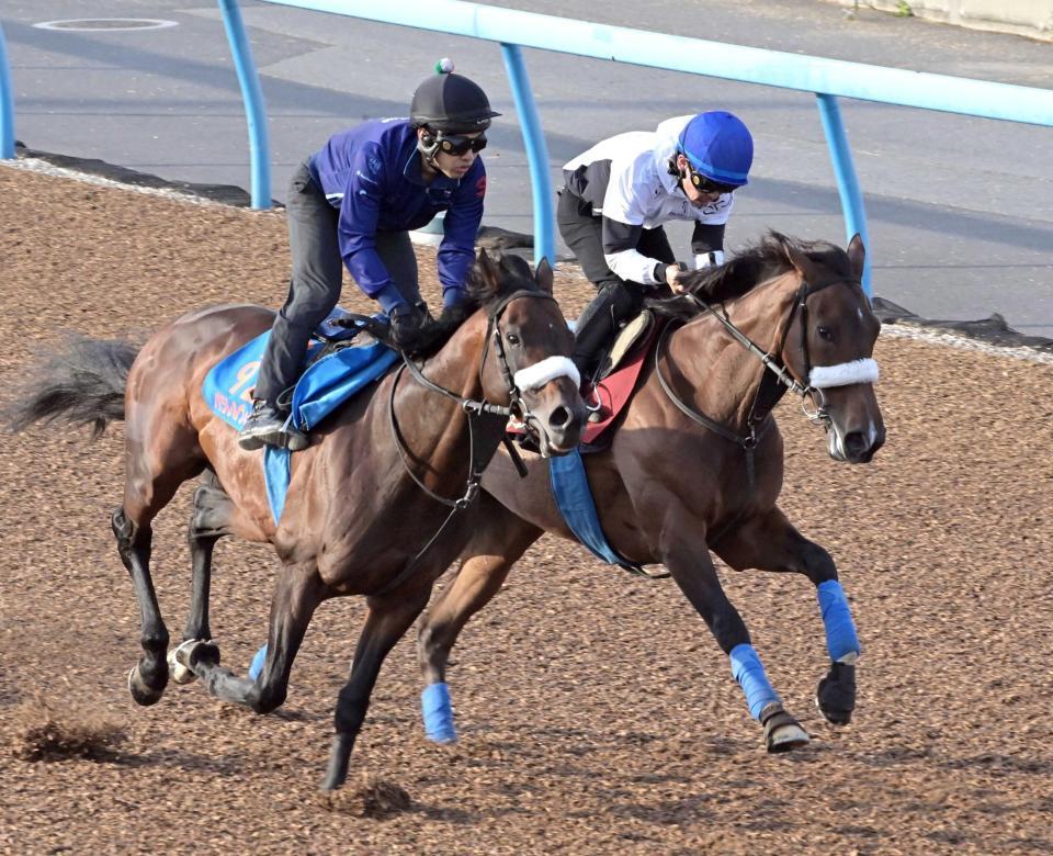 　併せ馬で好仕上がりをアピールしたステレンボッシュ（右）