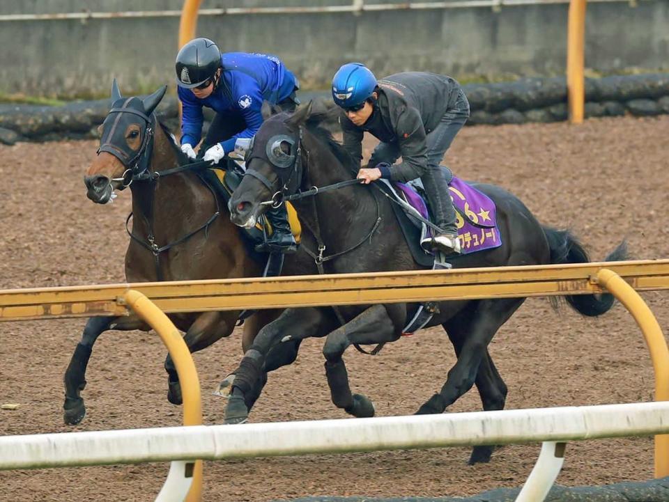 　北村友を背に追い切るクロワデュノール（右）