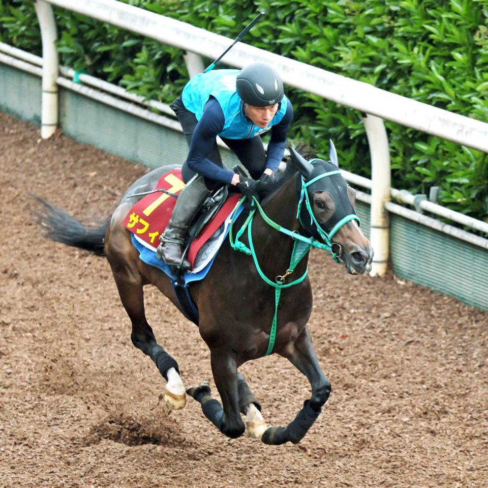 　好ムードを漂わせて栗東坂路を駆け上がるサフィラ（撮影・石井剣太郎）