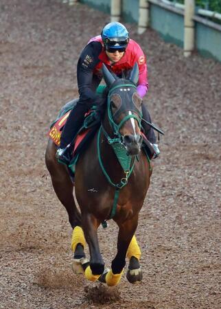 【ヴィクトリアＭ】ビヨンドザヴァレー　動き絶好　週末雨予報、あるぞ一発！　厩舎Ｇ１連勝へ橋口師も自信「今までで一番」