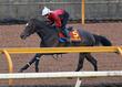 【ヴィクトリアＭ】展開から浮上するのはこの馬だ